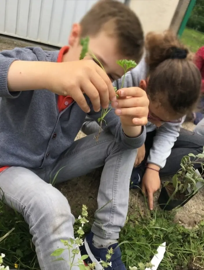 Jeune enfant explorant des plantes lors d'un atelier jardinage